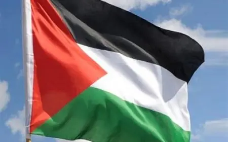 فرنسا.. 86 بلدية ترفع علم فلسطين رغم حظر وزارة الداخلية