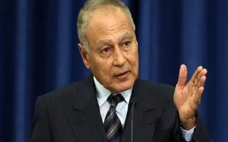 أبو الغيط يطالب بحماية الفلسطينيين من القتل العمد الممنهج