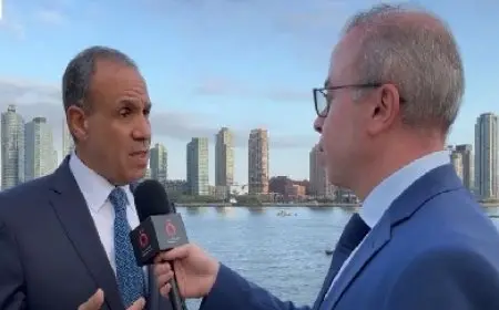 وزير الخارجية: رسالة مصر واضحة وهي وقف فوري للحرب في غزة وحل الدولتين السبيل الوحيد للتسوية
