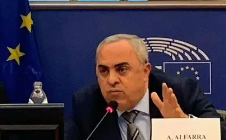 سفير فلسطين السابق لدى الاتحاد الأوروبي: الاعترافات المتتالية بالدولة الفلسطينية تمثل تصحيحًا تاريخيًا