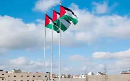 النص الكامل للبيان السعودي الفرنسي المشترك في ختام مؤتمر حل الدولتين