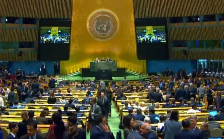 رئاسة مؤتمر حل الدولتين تدعو إسرائيل لإنهاء الاحتلال وتطالب بوقف دائم لإطلاق النار وإطلاق سراح الرهائن