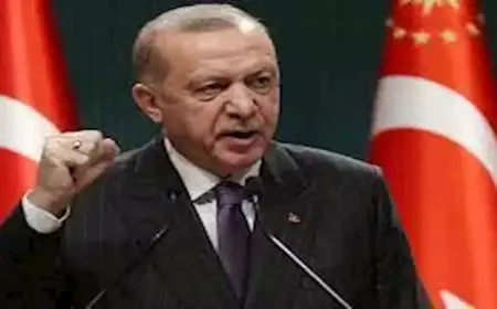 أردوغان: أشكر الدول التي قررت الاعتراف بدولة فلسطين