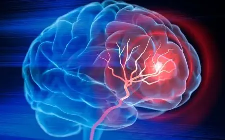 دراسة: ضرب الكرة بالرأس خلال مباريات كرة القدم يؤثر على الذاكرة والتفكير