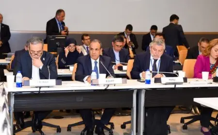 وزير الخارجية يدعو إلى حماية التراث الثقافي المادي وغير المادي لاسيما في مناطق النزاع