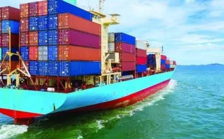 الإحصاء: ارتفاع قيمة الصادرات المصرية بنسبة 6.5% خلال عام 2024