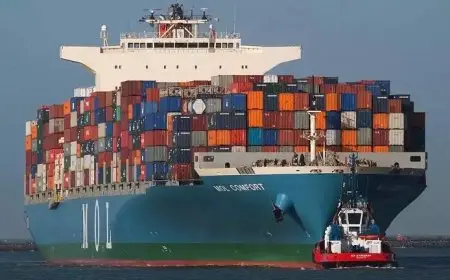 الإحصاء: ارتفاع الصادرات المصرية إلى 45.3 مليار دولار خلال 2024