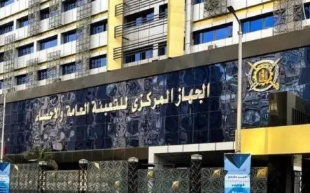 الإحصاء: 25.3 مليون دولار قيمة التبادل التجاري بين مصر وروندا خلال النصف الأول من 2025