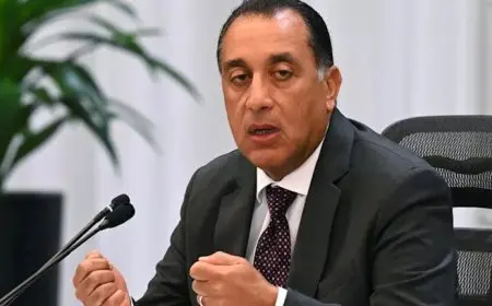 بعد رفع الدعم بنهاية العام.. كيف سيتم تسعير البنزين والغاز لحظيا؟