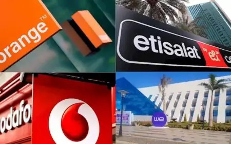 كيف تستعلم عن عدد الخطوط المسجلة باسمك في شركات الاتصالات الأربعة؟