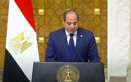 الرئيس السيسي: نرحب بنتائج مؤتمر حل الدولتين.. وأؤكد رفض مصر القاطع لأي محاولات لتهجير الفلسطينيين