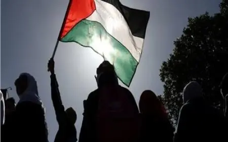 إعلان البندقية.. تفاصيل أول تحرك أوروبي جاد لدعم قيام الدولة الفلسطينية