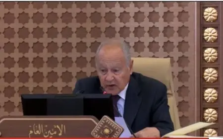 أمين عام الجامعة العربية: يجب الضغط على إسرائيل عبر فرض العقوبات