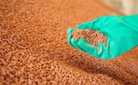 فيديو.. وزير الزراعة: زيادة أسعار الغاز لا علاقة لها بأسعار توريد الأسمدة إلى المزارعين