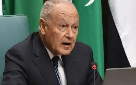 أبو الغيط أمام مجلس الأمن: حان وقت اتخاذ القرار الصائب أخلاقيا بوقف حرب غزة