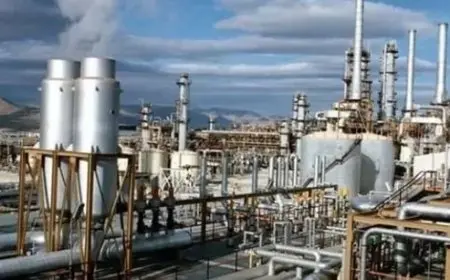 البترول: مصانع الأسمدة تحصل على كامل احتياجاتها من الغاز وفقا للتعاقدات
