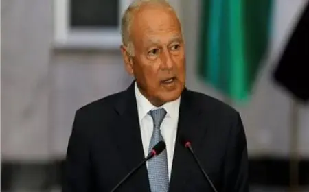 أمين عام الجامعة العربية يطالب بإجراءات عقابية صارمة ضد إسرائيل