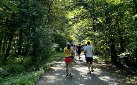 دراسة تؤكد: المشي في الطبيعة علاج فعال للتوتر وتحسين المزاج
