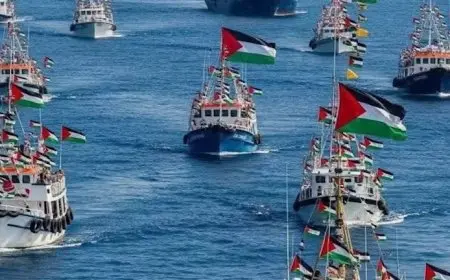 دون خسائر.. طائرات مسيرة تُطلق مقذوفات على أسطول الصمود