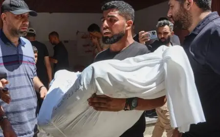 29 شهيدا بينهم 24 في مدينة غزة بنيران وقصف الاحتلال