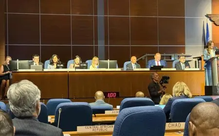 سامح الحفني: الاستدامة وسياسات السلامة والأمن الدولي محور التطور المستقبلي للطيران المدني العالمي