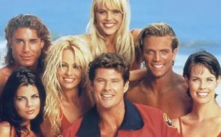 في قنا.. ساحة الشيخ وافي أبوحمام تتحول إلى كرنفال روحي احتفالًا بالمولد النبوي