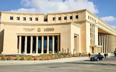 ارتفاع مساهمات البنك المركزي المصري في مؤسسات تمويل دولية إلى 33.544 مليار جنيه بنهاية أغسطس