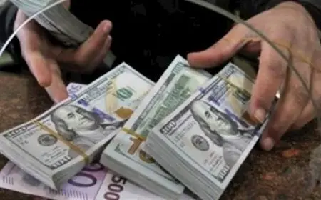 3.8 مليار دولار.. تحويلات المصريين بالخارج تسجل مستوى تاريخي في يوليو