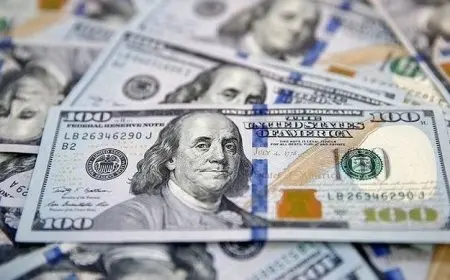 البنك المركزي: تحويلات المصريين بالخارج تصل لـ3.8 مليار دولار في يوليو الماضي