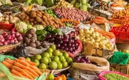 ارتفاع أسعار بعض الخضروات والفاكهة.. فما الأسباب؟