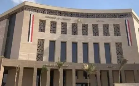 تضخم وانهيار العملة.. خبير اقتصادي يحذر من مخاطر زيادة استدانة وزارة المالية