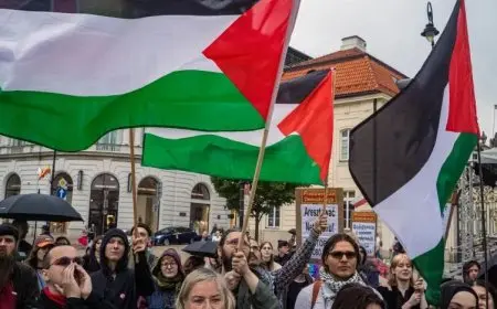 سويسرا: 14 ألف شخص يوقعون عريضة تطالب بالاعتراف بفلسطين