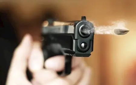 إطلاق نار على 3 أشخاص في مكتب الهجرة بمدينة تكساس الأمريكية