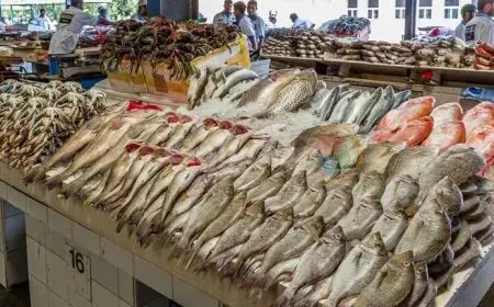 شعبة الأسماك: 25% تراجعا في الأسعار خلال الفترة الماضية