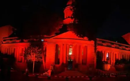 قصر العيني يضيئ قبته باللون البرتقالي تضامنا مع ألبوم العالمي لسلامة المريض