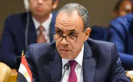 وزير الخارجية يؤكد ضرورة توفير تمويل مستدام لعمليات دعم السلام