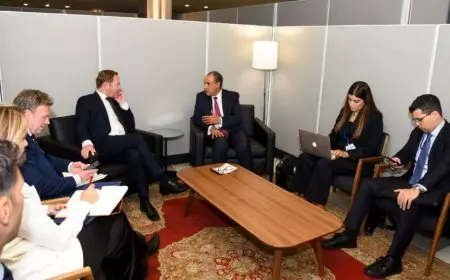 وزير خارجية هولندا يؤكد الالتزام بتعزيز إجراءات تأمين البعثات الدبلوماسية المصرية في بلاده