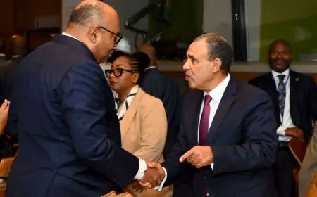 وزير الخارجية: التوافق هو الضمانة الوحيدة لتحقيق المصالح المشتركة بمنطقة حوض النيل