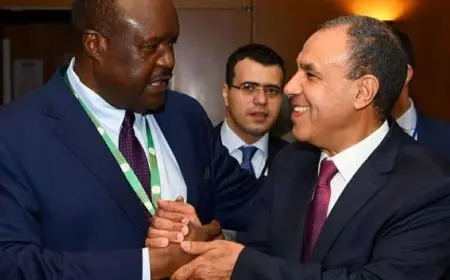 وزير الخارجية يبحث مع رئيس برلمان عموم إفريقيا تعزيز التعاون وتوحيد المواقف الإقليمية والدولية
