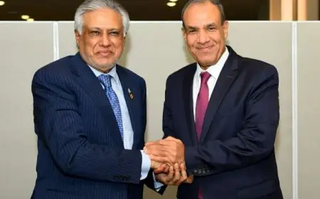 وزير الخارجية يبحث مع نظيره الباكستاني تعزيز التعاون والتنسيق حول أزمة غزة لخفض التصعيد في المنطقة