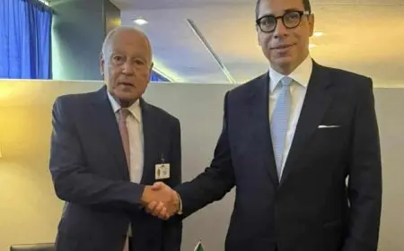 أبوالغيط: نعول على رئاسة قبرص للاتحاد الأوروبي لتعزيز آليات التعاون العربي الأوروبي