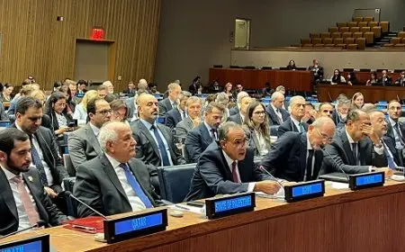 وزير الخارجية: الاعتراف بالدولة الفلسطينية لحظة تاريخية في مسار الإنسانية