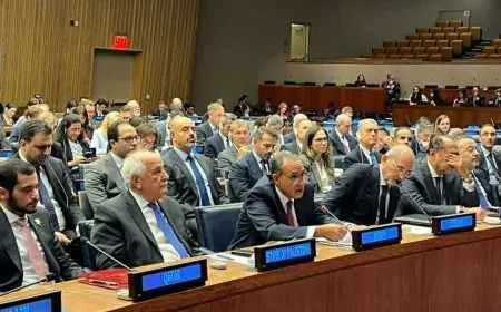 وزير الخارجية يشارك في الاجتماع الوزاري رفيع المستوى للتحالف الدولي لتنفيذ حل الدولتين