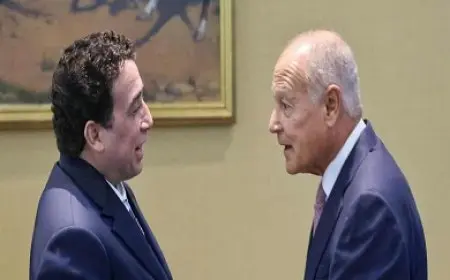 أبو الغيط يؤكد الدعم الكامل للجهود المبذولة لتوحيد المؤسسات الليبية