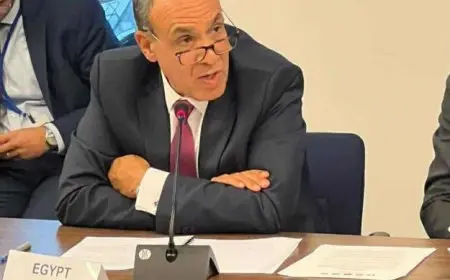 وزير الخارجية: مستقبل السودان هو شأن خالص للشعب السوداني وحده دون أي تدخل خارجي