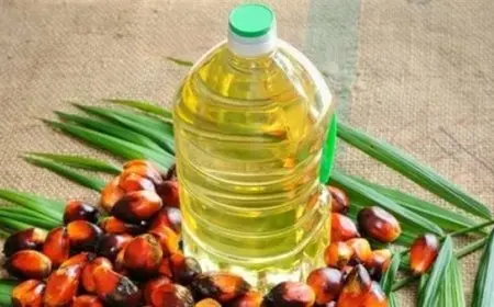 استمرار ارتفاع أسعار زيت النخيل مع تراجع الإنتاج