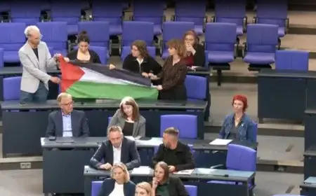 نواب ألمان يرفعون علم فلسطين خلال جلسة برلمانية