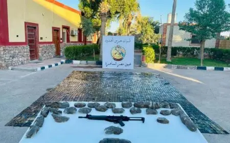 القوات المسلحة تكثف جهودها لتأمين الحدود وتوجيه ضربات قوية للعناصر الإجرامية