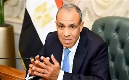 عبد العاطي يطالب بفك الحصار عن مدينة الفاشر السودانية