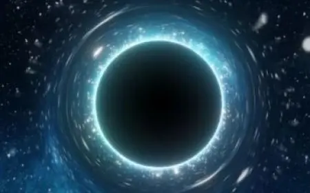 بعد إدراج علماء مصريين بها.. ما هي قائمة ستانفورد الأمريكية ومعايير الاختيار؟